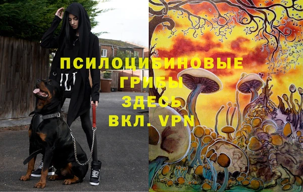 ALPHA PVP Богданович